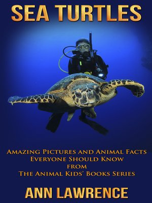 cover image of Sea Turtles